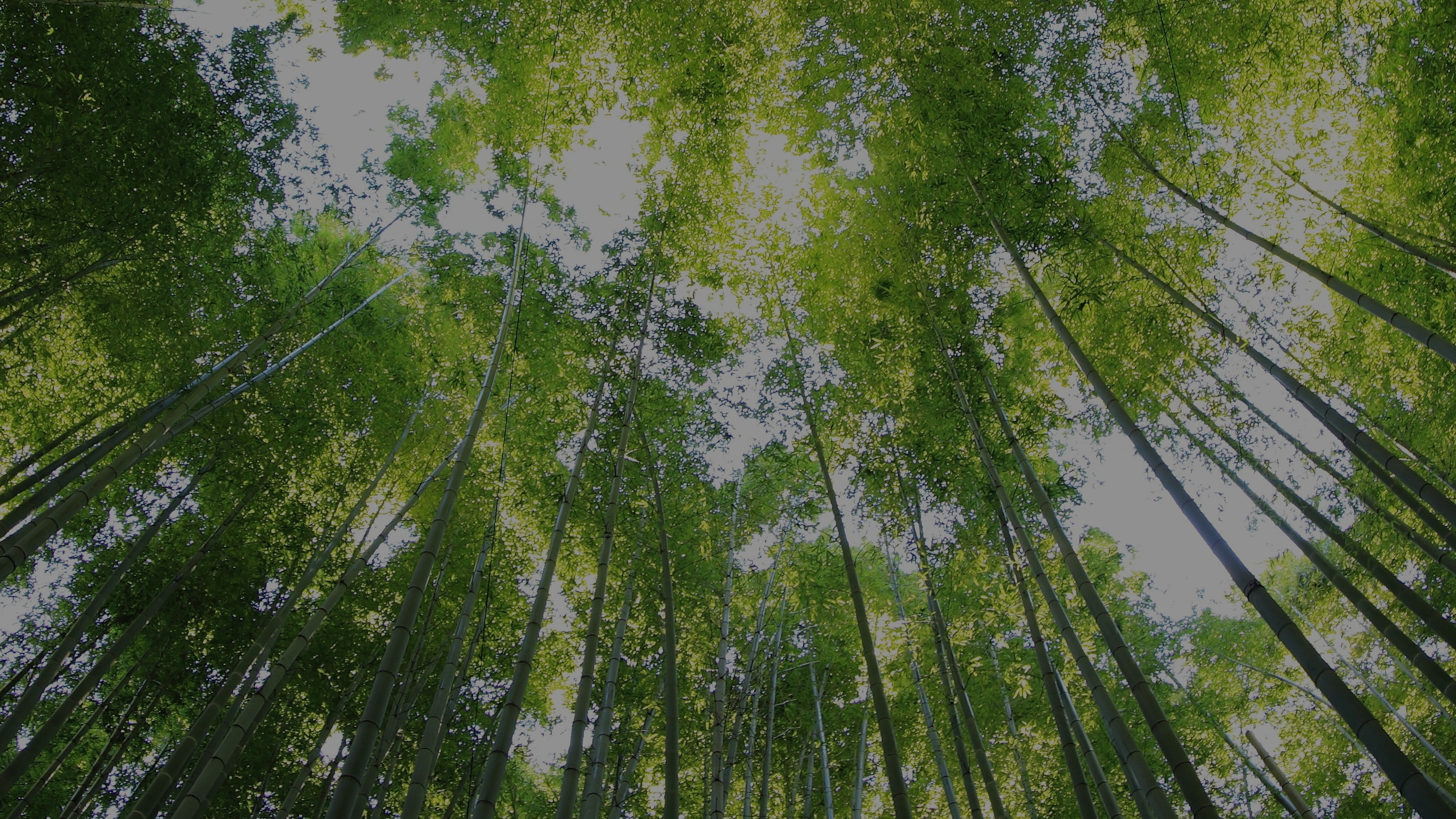 GTH ECO Plus-Pel - Banner produktu